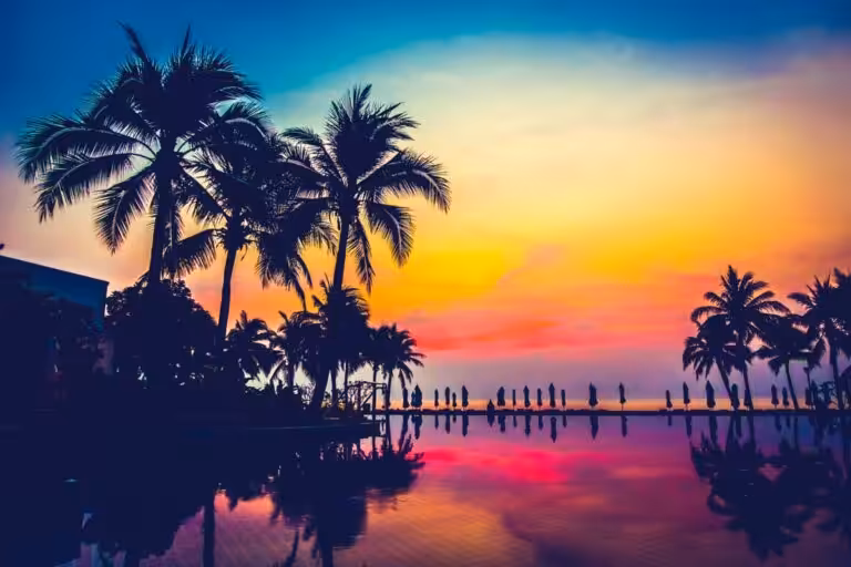 blog 07
