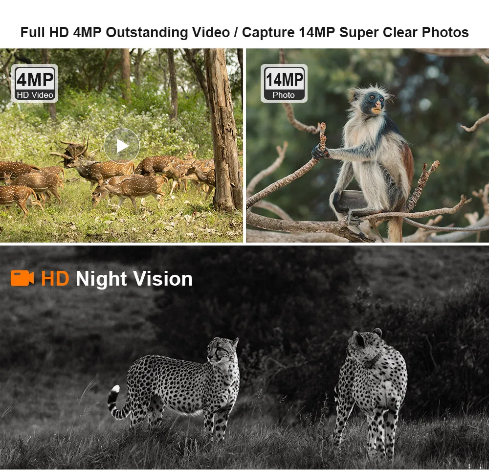 LS VISION Solar Hunting Trail Camera 14MP 4G SIM Card IP66 Waterproof 20M PIR Motion Detection Wildlife Camera IR Night Vision 8 kf Se4d568a74f734aff935584428f933faf5