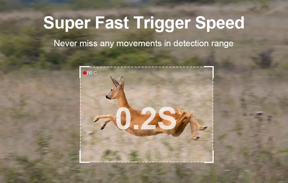 LS VISION Solar Hunting Trail Camera 14MP 4G SIM Card IP66 Waterproof 20M PIR Motion Detection Wildlife Camera IR Night Vision 4 kf Sf0e6bed0a4b94639958b17b1fa19dd68b